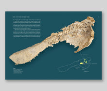Load image into Gallery viewer, Sydney Brenner's 10-on-10: The Chronicles of Evolution